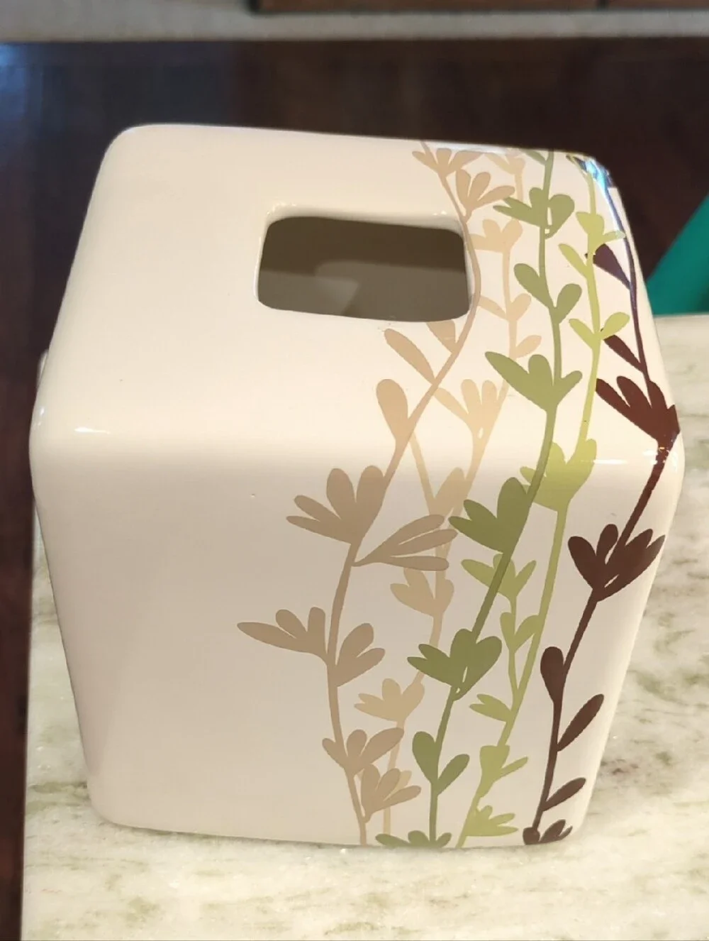 Neutral Ceramic Tissue Box Cover with Green and Brown Vine Design
